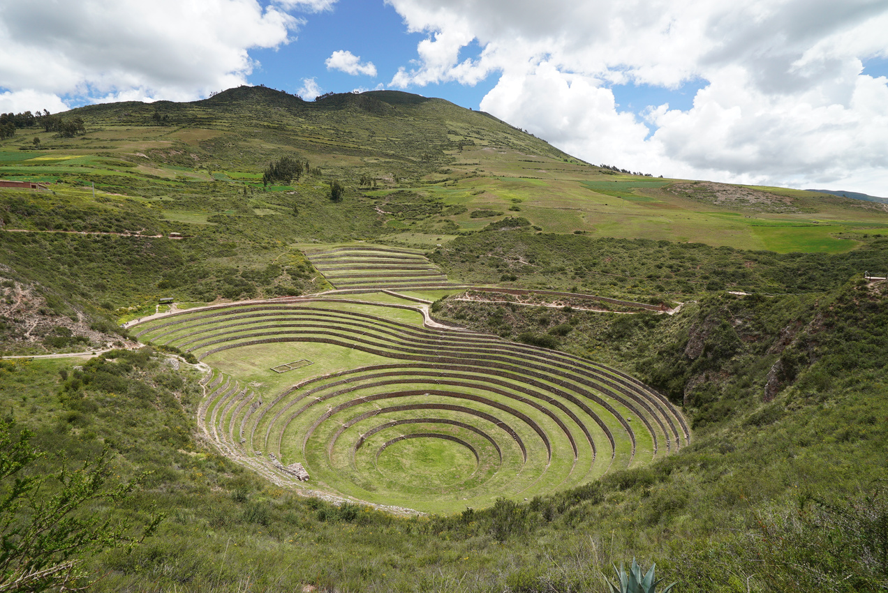 Cusco Farm